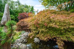 Photo 14- click for photo gallery